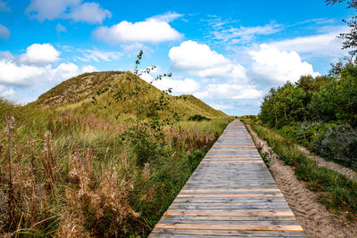 Dirt road along plants and land against sky