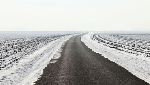 Empty road along trees