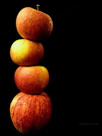 Close-up of pumpkins against black background