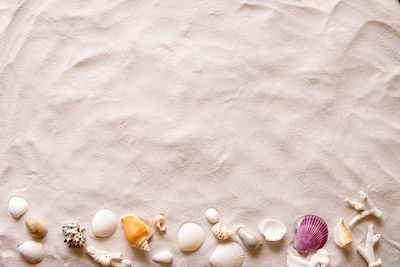 High angle view of shells on beach