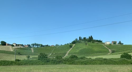 Scenic view of field against clear sky