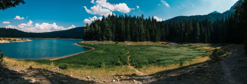 Panoramic view of lake and trees against sky