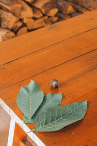 High angle view of orange leaves on table