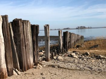 Wooden posts on beach against sky