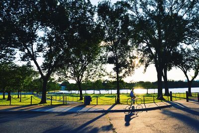 Park bench in park