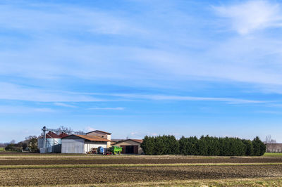 View of agricultural field against blue sky