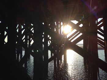 Sun shining through trees