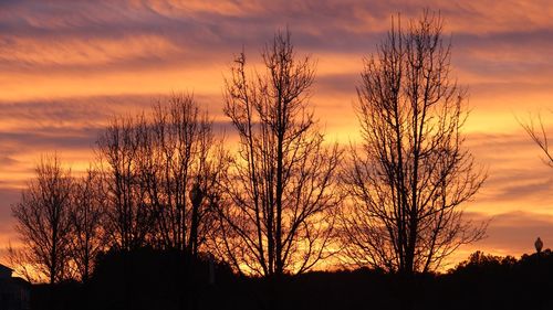 Silhouette bare trees against dramatic sky during sunset