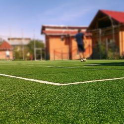 Surface level of grassy field