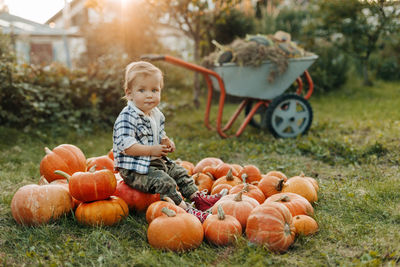 A blonde-haired baby is sitting on a pile of ripe pumpkins in the garden. harvest, autumn