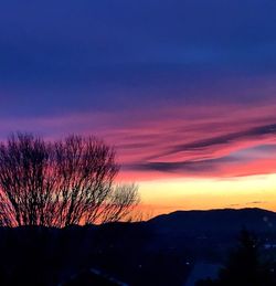 Silhouette of trees at sunset