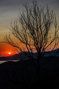 Silhouette bare tree against sky during sunset