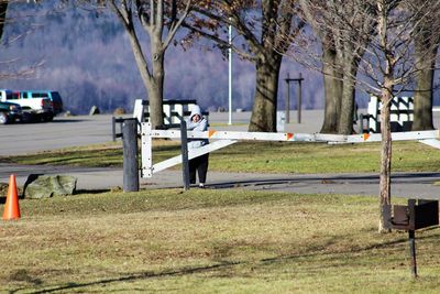 Bare trees in parking lot