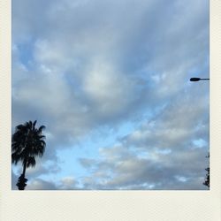 Low angle view of trees against cloudy sky