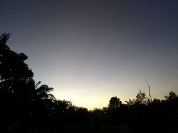 Low angle view of silhouette trees against sky during sunset