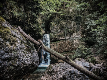 Scenic view of waterfall in forest