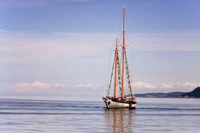 Sailboat sailing in sea against sky