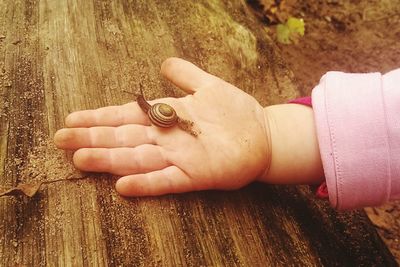 High angle view of snail on palm