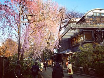 People on street amidst trees against sky