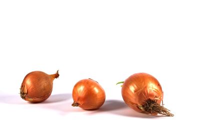 Close-up of oranges against white background