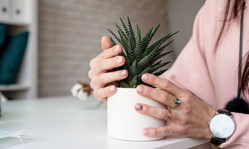 Woman hand with fresh made manicure holding a succulent potplant