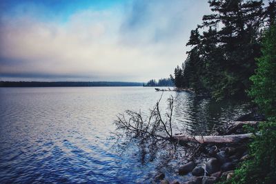 Scenic view of lake in forest against sky