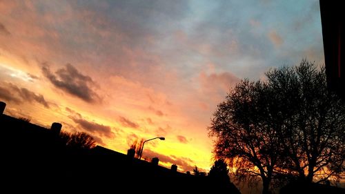 Low angle view of silhouette trees against dramatic sky