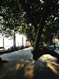 Street amidst trees in park