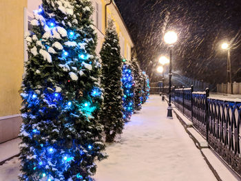 Illuminated christmas tree at night