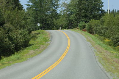 Empty road along trees and plants