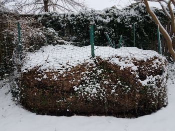 Snow covered field by trees