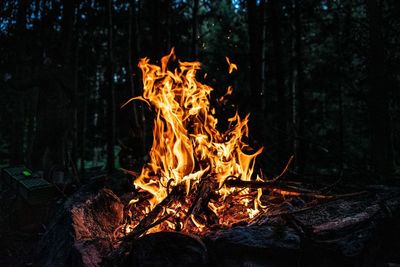 Fire in forest at night