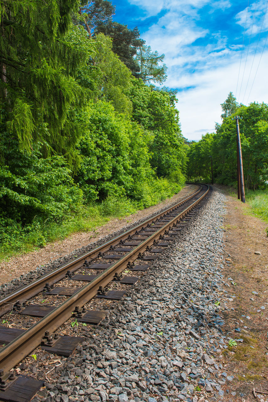 VIEW OF RAILWAY TRACKS AGAINST TREES