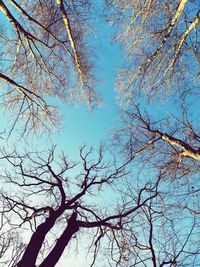 Low angle view of bare tree against sky