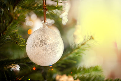 Close-up of christmas decorations hanging on tree