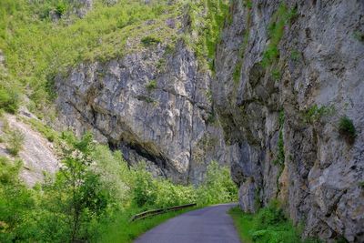 Road amidst rocks and trees