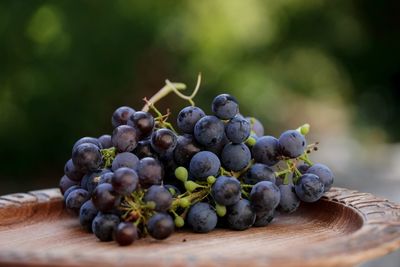 Close-up of grapes on table