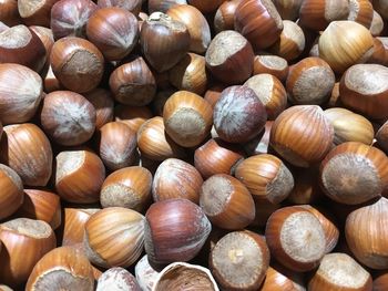 Full frame shot of onions