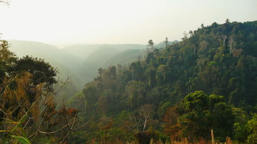 Scenic view of trees and mountains against sky