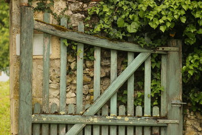 Close-up of wood against bridge