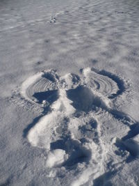 High angle view of footprints on snow covered landscape