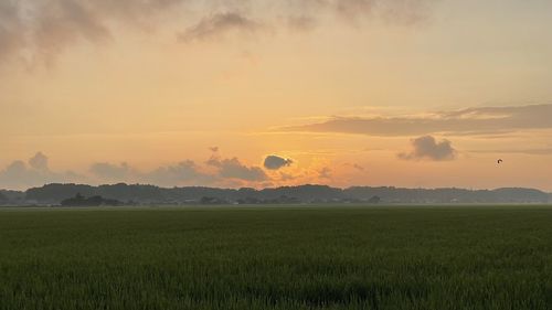 Scenic view of field against sky during sunset