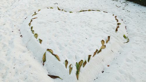 High angle view of snow on land