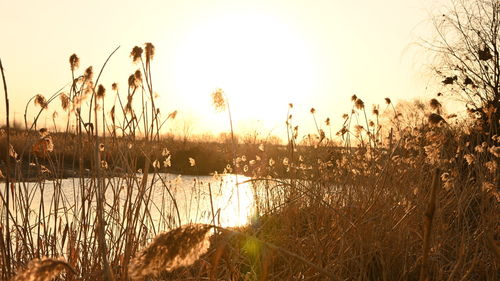 Scenic view of lake against sky during sunset