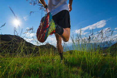 Run in the mountains in the meadow with sun and beautiful nature landscapes.