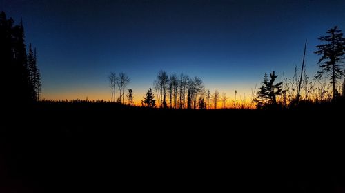 Silhouette trees on landscape against sky at sunset