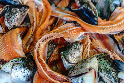 Full frame shot of dead fishes for sale at market