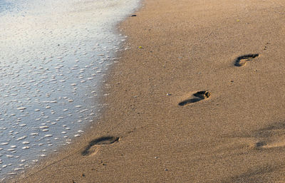 High angle view of footprints on beach during sunny day