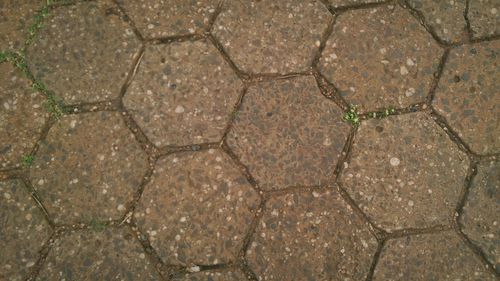 Full frame shot of footpath