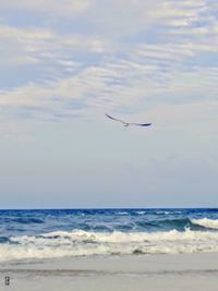 Bird on beach against sky